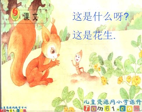 《小松鼠找花生果》