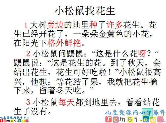 《小松鼠找花生果》
