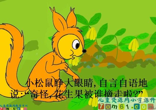 《小松鼠找花生果》
