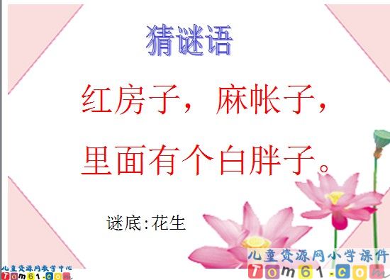 《小松鼠找花生果》