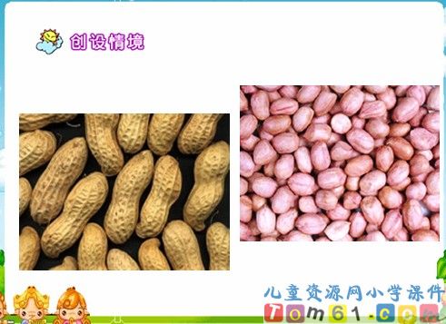 《小松鼠找花生果》