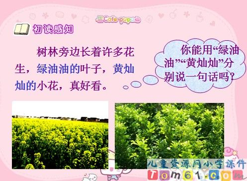 《小松鼠找花生果》