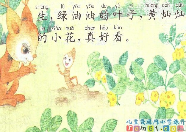 《小松鼠找花生果》