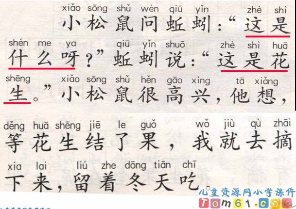《小松鼠找花生果》