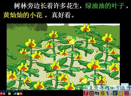 《小松鼠找花生果》