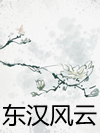 东汉风云