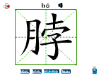 脖