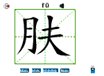 肤