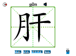 肝