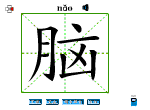 脑
