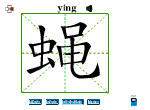 蝇