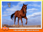 马