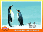 企鹅