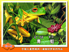 青蛙