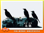乌鸦