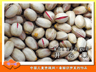 开心果