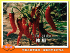 辣椒