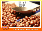 栗子