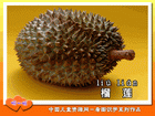 榴莲