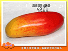 芒果