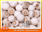 蘑菇