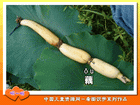 藕