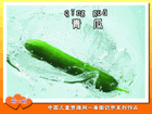 青瓜