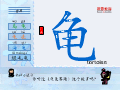 龟
