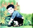 种西瓜