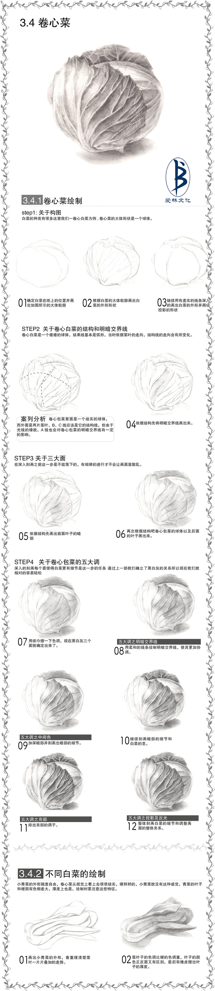 白菜-素描图集