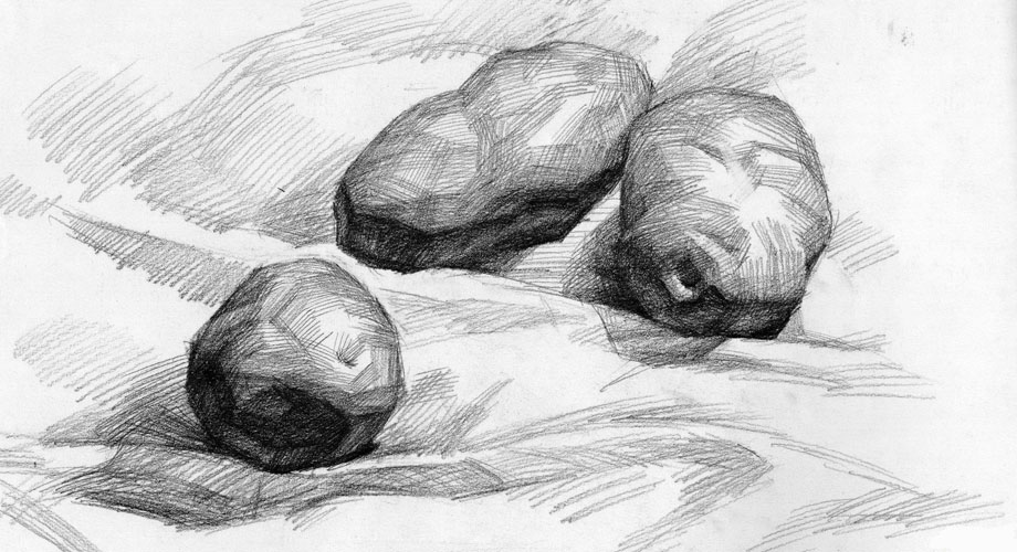 马铃薯-素描图集