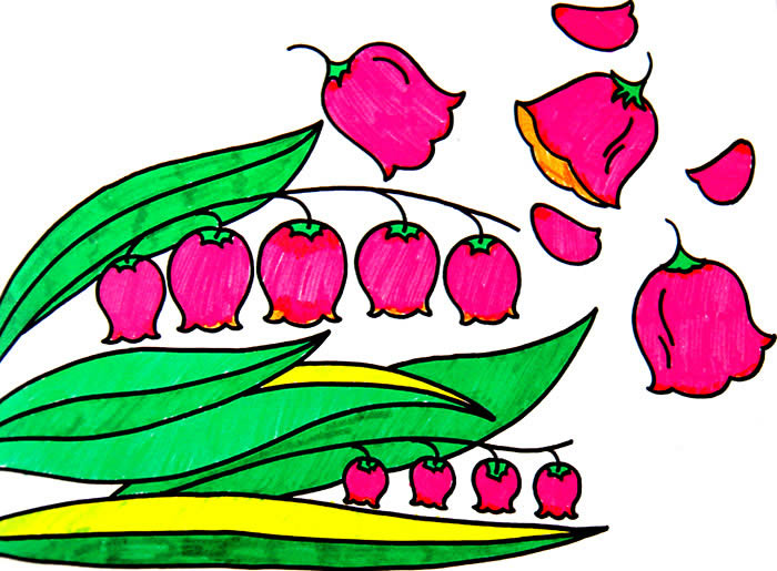 铃兰花-水彩画图集