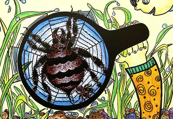 蜘蛛-蜡笔画图集