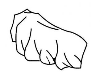 大石头图片_简笔画图片_少儿图库_儿童资源网